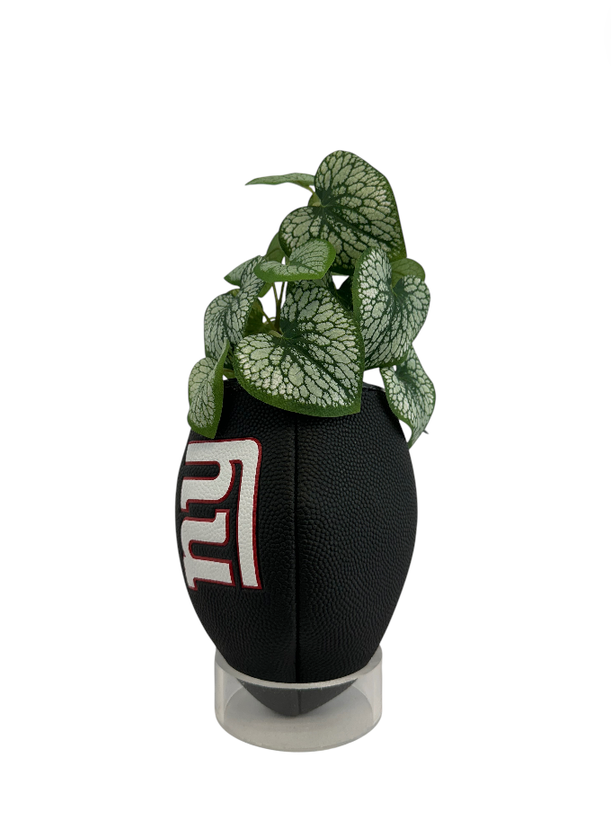 NFL GIANT