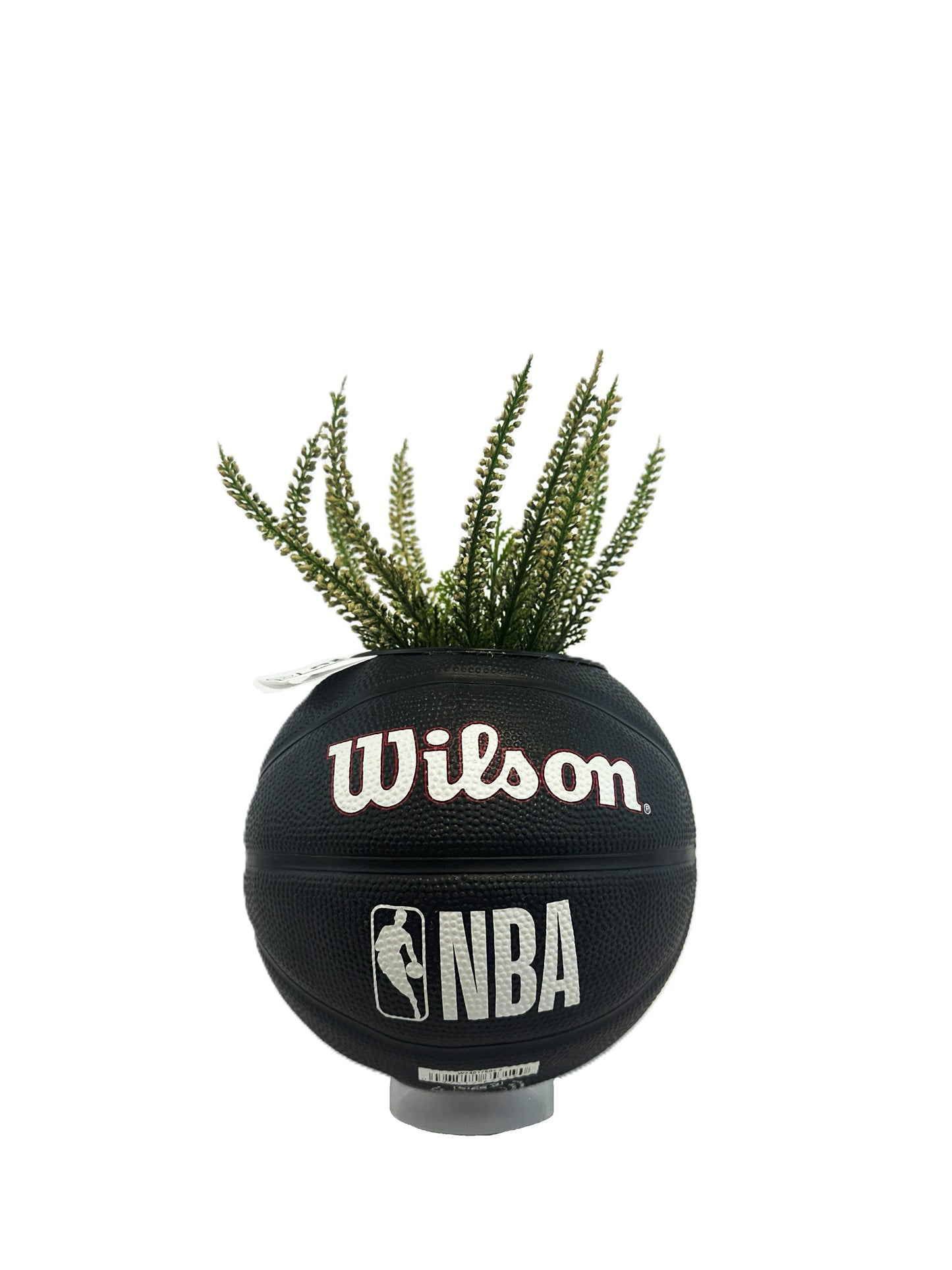 BULLS MINI