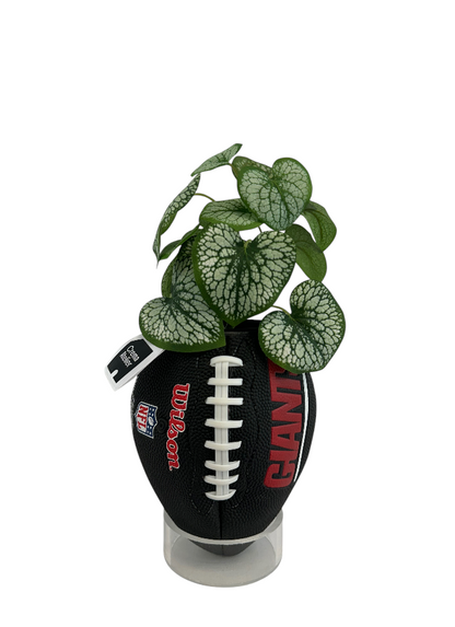 NFL GIANT