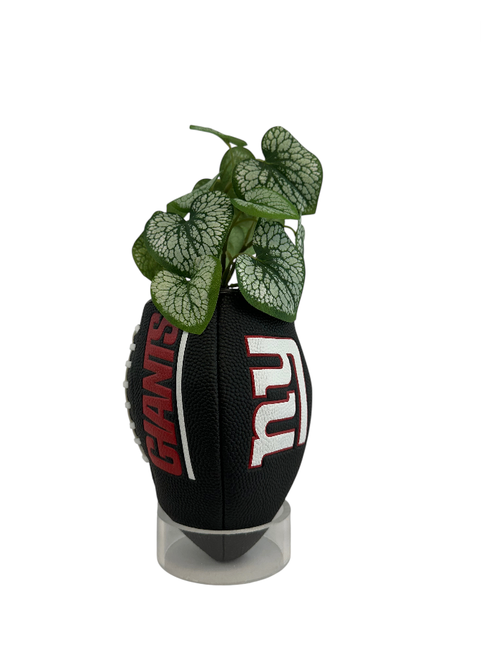 NFL GIANT