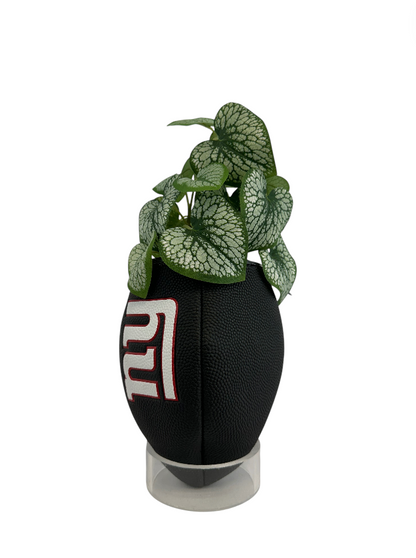 NFL GIANT