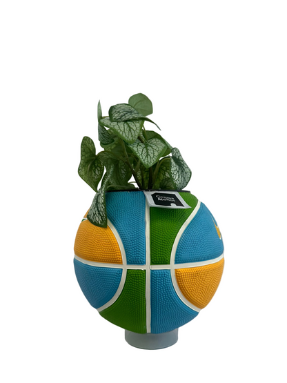NK BALTIC MINI