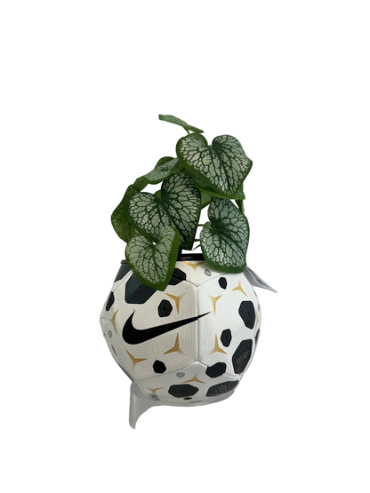 NK FOOTBALL MINI