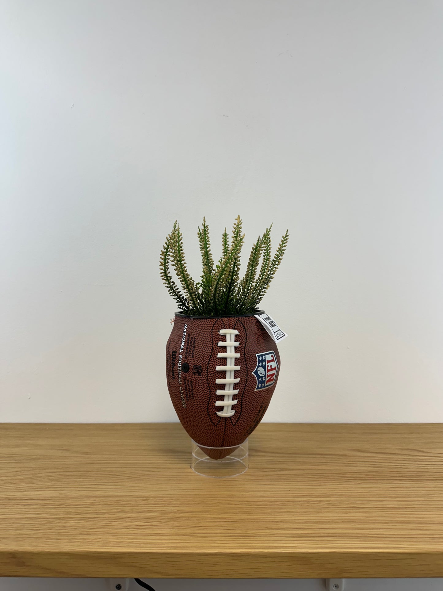 NFL CLASSIC MINI