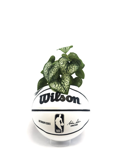 WLS PREMIUM MINI