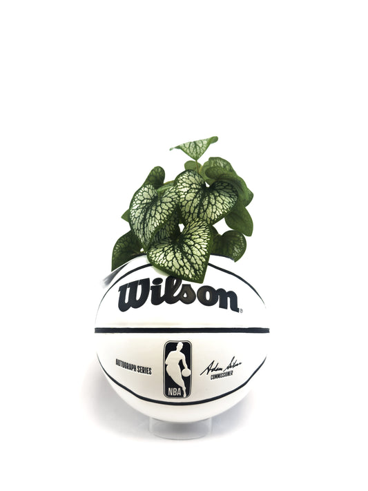 WLS PREMIUM MINI