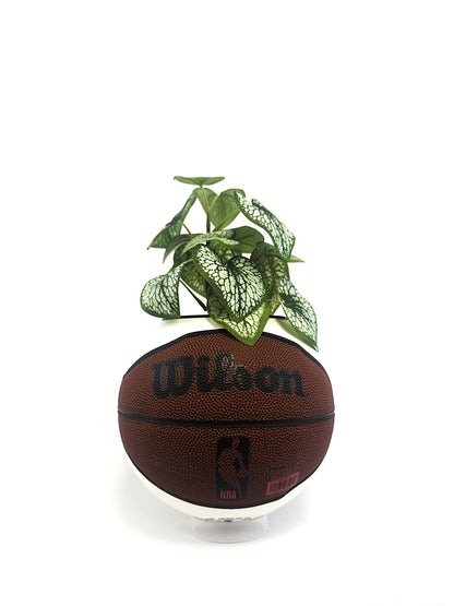 WLS PREMIUM MINI