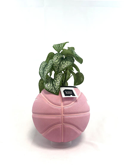 NK PINK MINI